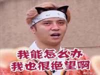 上海绵特信息科技中心