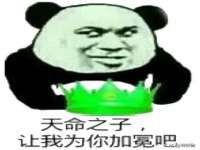 上海绵特信息科技中心