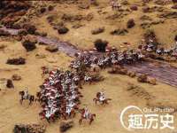 上海绵特信息科技中心