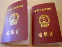 上海绵特信息科技中心