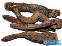 上海绵特信息科技中心
