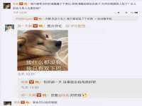 上海绵特信息科技中心