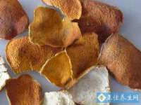 上海绵特信息科技中心
