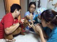 上海绵特信息科技中心