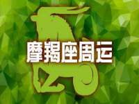 上海绵特信息科技中心