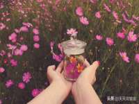 上海绵特信息科技中心