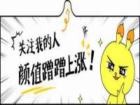 上海绵特信息科技中心