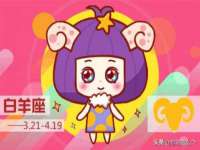 上海绵特信息科技中心