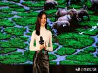 上海绵特信息科技中心