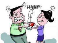 上海绵特信息科技中心