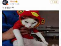 上海绵特信息科技中心