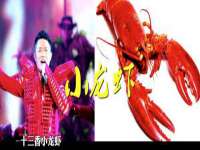 上海绵特信息科技中心