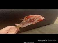 上海绵特信息科技中心